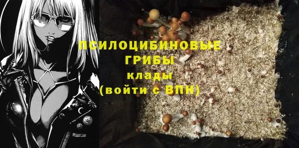 a pvp Белокуриха
