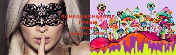 сатива Белоозёрский
