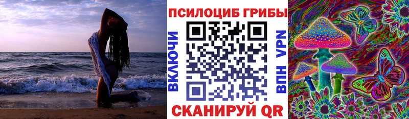 Псилоцибиновые грибы ЛСД  blacksprut ТОР  Светлогорск 