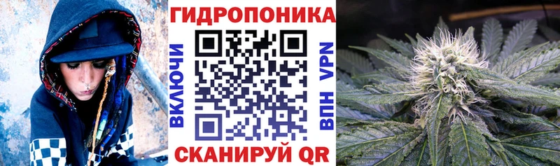 Шишки марихуана марихуана даркнет официальный сайт Светлогорск